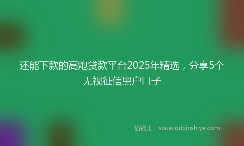 还能下款的高炮贷款平台2025年精选，分享5个无视征信黑户口子