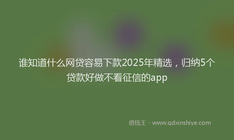 谁知道什么网贷容易下款2025年精选，归纳5个贷款好做不看征信的app
