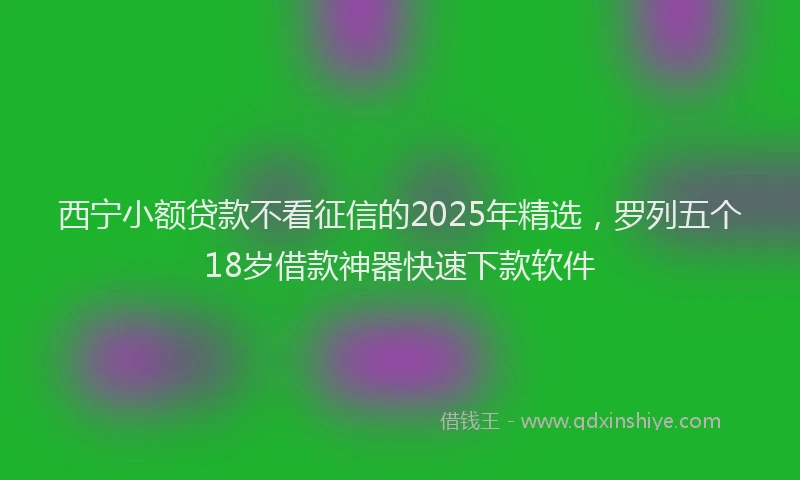 西宁小额贷款不看征信的2025年精选，罗列五个18岁借款神器快速下款软件