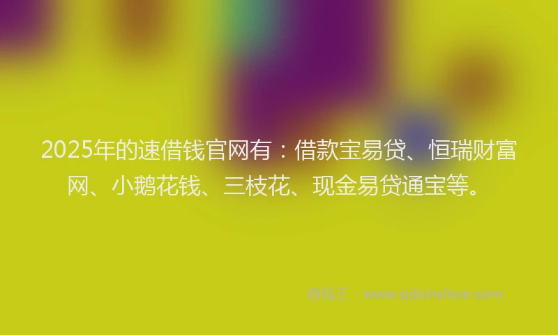 2025年的速借钱官网有：借款宝易贷、恒瑞财富网、小鹅花钱、三枝花、现金易贷通宝等。