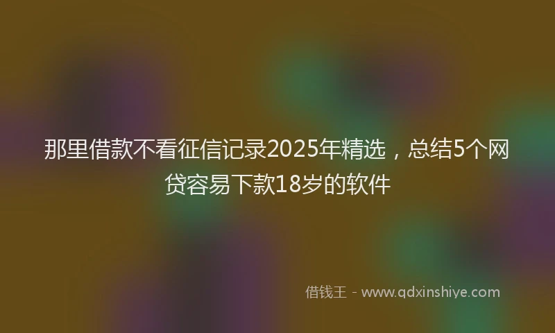 那里借款不看征信记录2025年精选，总结5个网贷容易下款18岁的软件
