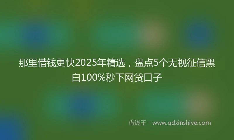 那里借钱更快2025年精选，盘点5个无视征信黑白100%秒下网贷口子