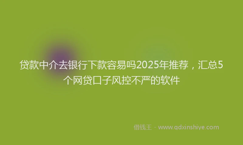 贷款中介去银行下款容易吗2025年推荐，汇总5个网贷口子风控不严的软件