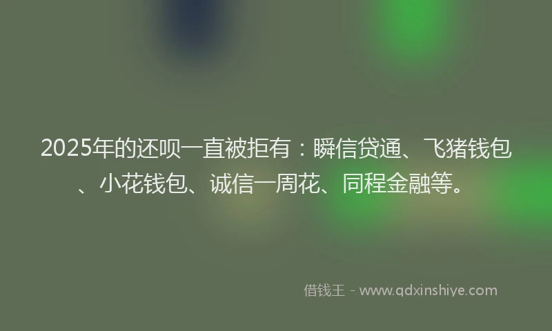 2025年的还呗一直被拒有：瞬信贷通、飞猪钱包、小花钱包、诚信一周花、同程金融等。