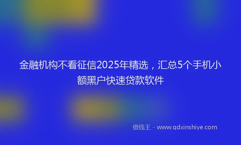 金融机构不看征信2025年精选，汇总5个手机小额黑户快速贷款软件