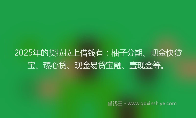 2025年的货拉拉上借钱有：柚子分期、现金快贷宝、臻心贷、现金易贷宝融、壹现金等。