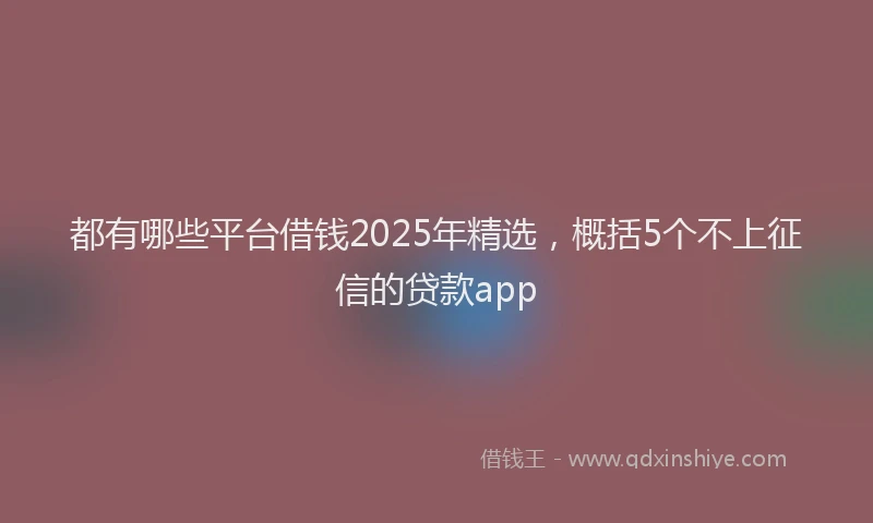 都有哪些平台借钱2025年精选，概括5个不上征信的贷款app