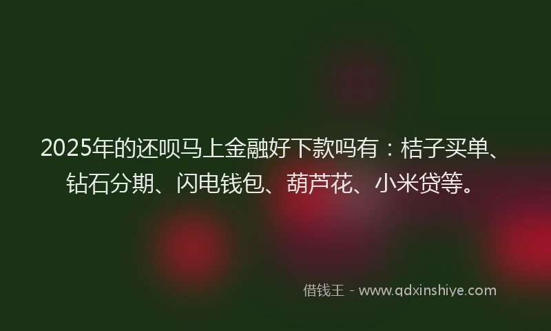 2025年的还呗马上金融好下款吗有：桔子买单、钻石分期、闪电钱包、葫芦花、小米贷等。