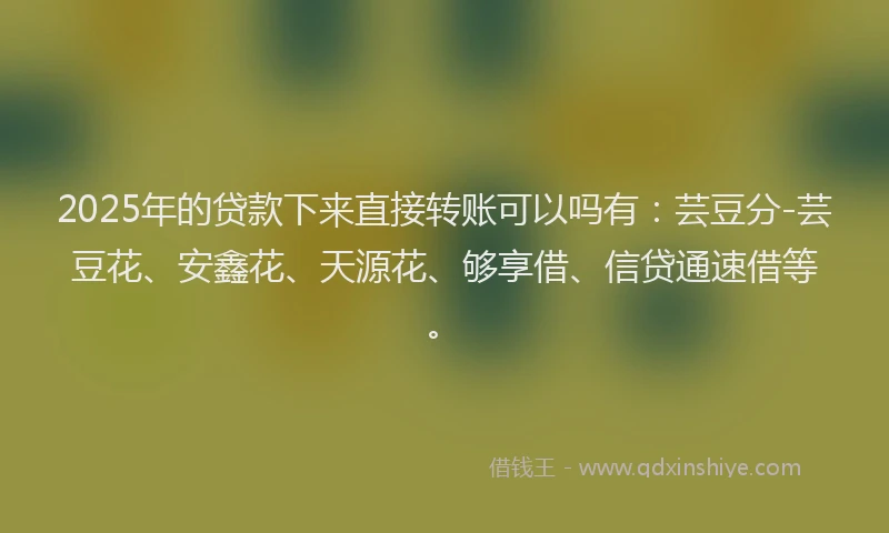 2025年的贷款下来直接转账可以吗有：芸豆分-芸豆花、安鑫花、天源花、够享借、信贷通速借等。