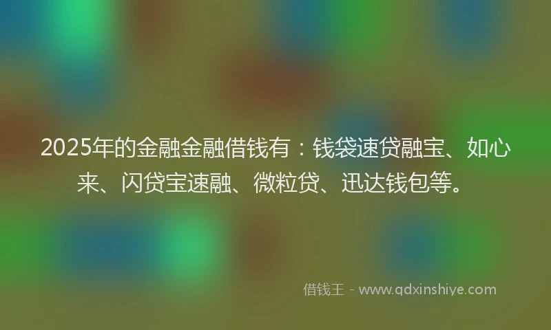 2025年的金融金融借钱有：钱袋速贷融宝、如心来、闪贷宝速融、微粒贷、迅达钱包等。