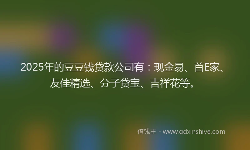 2025年的豆豆钱贷款公司有：现金易、首E家、友佳精选、分子贷宝、吉祥花等。