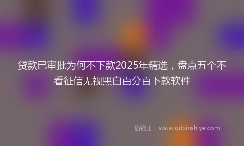 贷款已审批为何不下款2025年精选，盘点五个不看征信无视黑白百分百下款软件