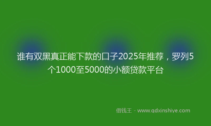 谁有双黑真正能下款的口子2025年推荐，罗列5个1000至5000的小额贷款平台