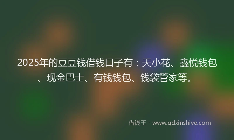 2025年的豆豆钱借钱口子有：天小花、鑫悦钱包、现金巴士、有钱钱包、钱袋管家等。