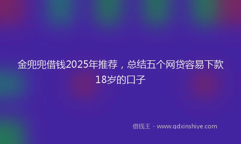 金兜兜借钱2025年推荐，总结五个网贷容易下款18岁的口子