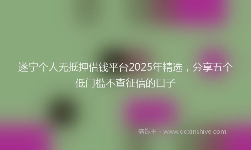 遂宁个人无抵押借钱平台2025年精选，分享五个低门槛不查征信的口子