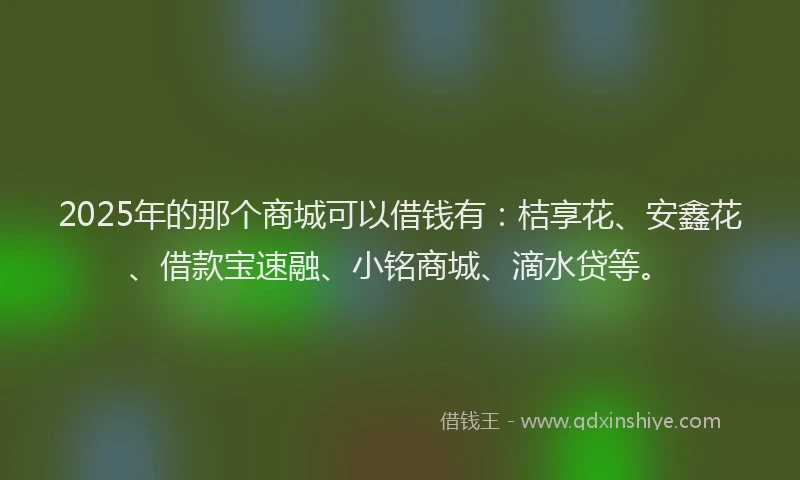 2025年的那个商城可以借钱有：桔享花、安鑫花、借款宝速融、小铭商城、滴水贷等。