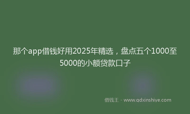 那个app借钱好用2025年精选，盘点五个1000至5000的小额贷款口子