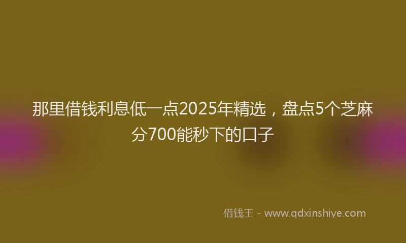 那里借钱利息低一点2025年精选，盘点5个芝麻分700能秒下的口子