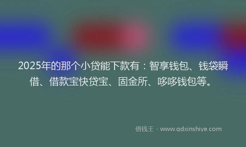 2025年的那个小贷能下款有：智享钱包、钱袋瞬借、借款宝快贷宝、固金所、哆哆钱包等。