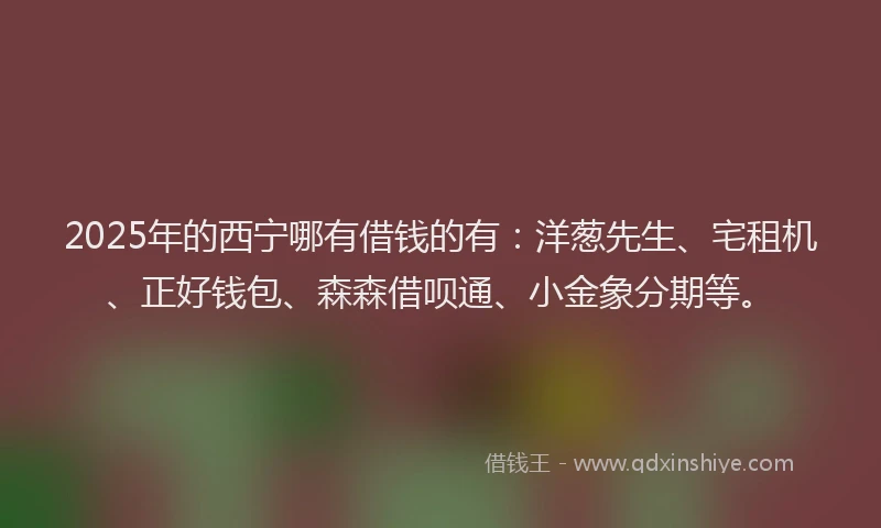 2025年的西宁哪有借钱的有：洋葱先生、宅租机、正好钱包、森森借呗通、小金象分期等。
