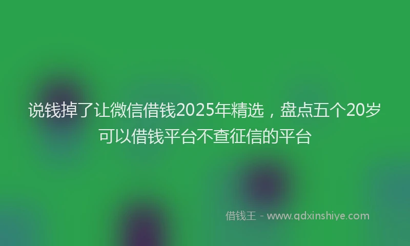 说钱掉了让微信借钱2025年精选，盘点五个20岁可以借钱平台不查征信的平台