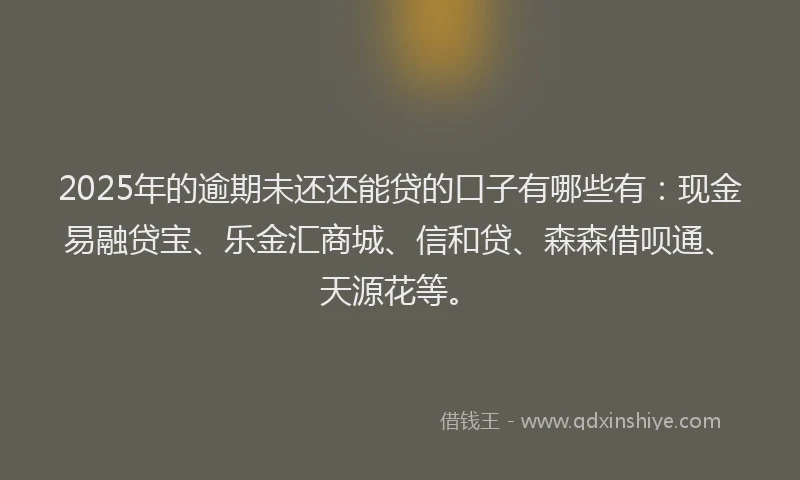 2025年的逾期未还还能贷的口子有哪些有：现金易融贷宝、乐金汇商城、信和贷、森森借呗通、天源花等。
