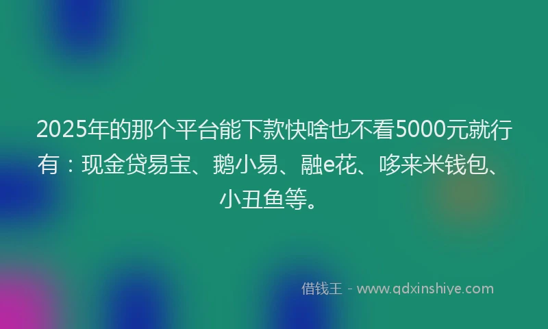 2025年的那个平台能下款快啥也不看5000元就行有：现金贷易宝、鹅小易、融e花、哆来米钱包、小丑鱼等。