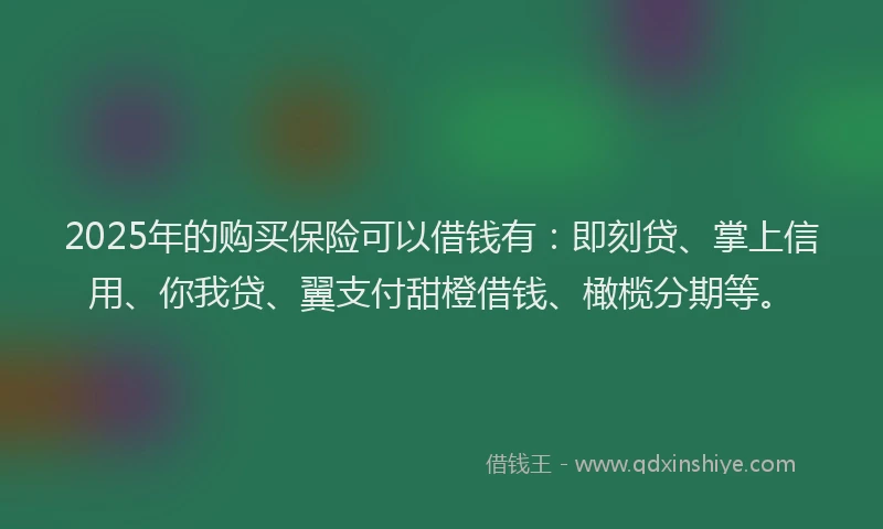 2025年的购买保险可以借钱有：即刻贷、掌上信用、你我贷、翼支付甜橙借钱、橄榄分期等。