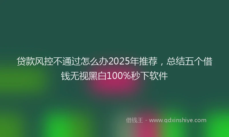 贷款风控不通过怎么办2025年推荐，总结五个借钱无视黑白100%秒下软件