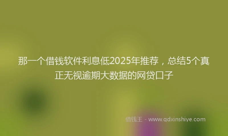 那一个借钱软件利息低2025年推荐，总结5个真正无视逾期大数据的网贷口子