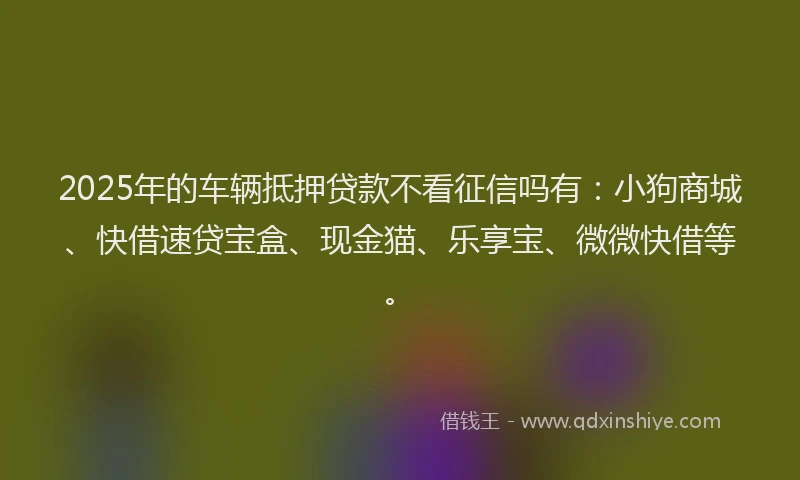 2025年的车辆抵押贷款不看征信吗有：小狗商城、快借速贷宝盒、现金猫、乐享宝、微微快借等。