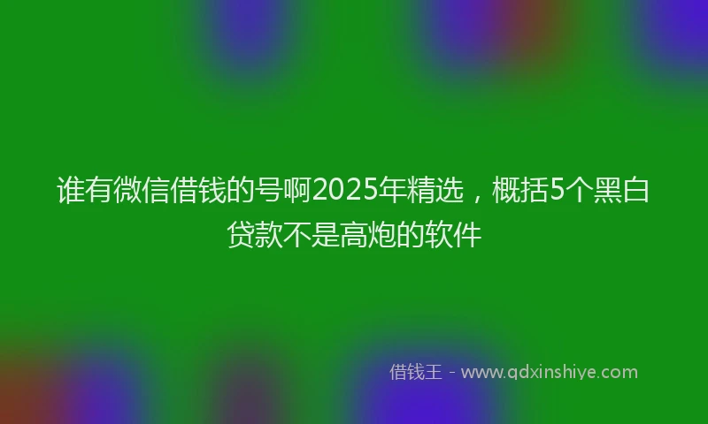 谁有微信借钱的号啊2025年精选，概括5个黑白贷款不是高炮的软件