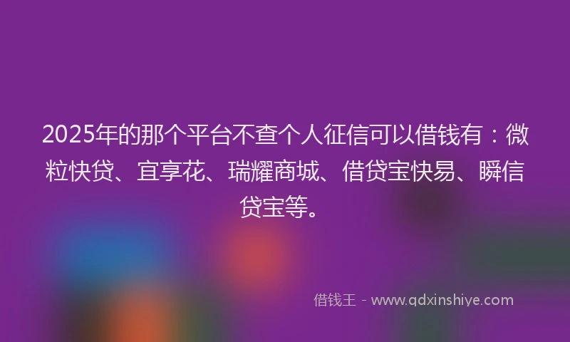 2025年的那个平台不查个人征信可以借钱有：微粒快贷、宜享花、瑞耀商城、借贷宝快易、瞬信贷宝等。