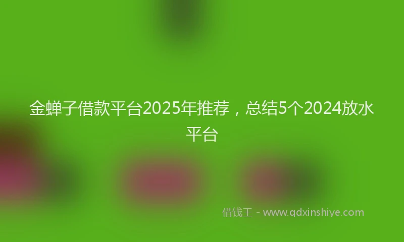 金蝉子借款平台2025年推荐，总结5个2024放水平台