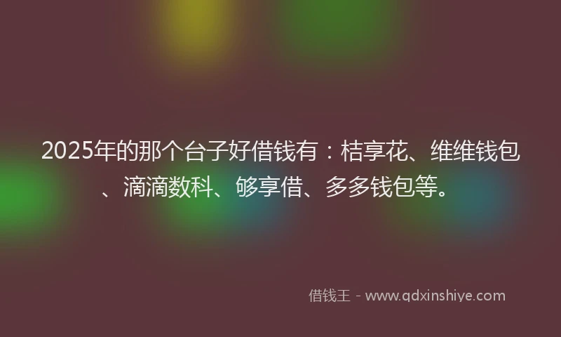 2025年的那个台子好借钱有：桔享花、维维钱包、滴滴数科、够享借、多多钱包等。