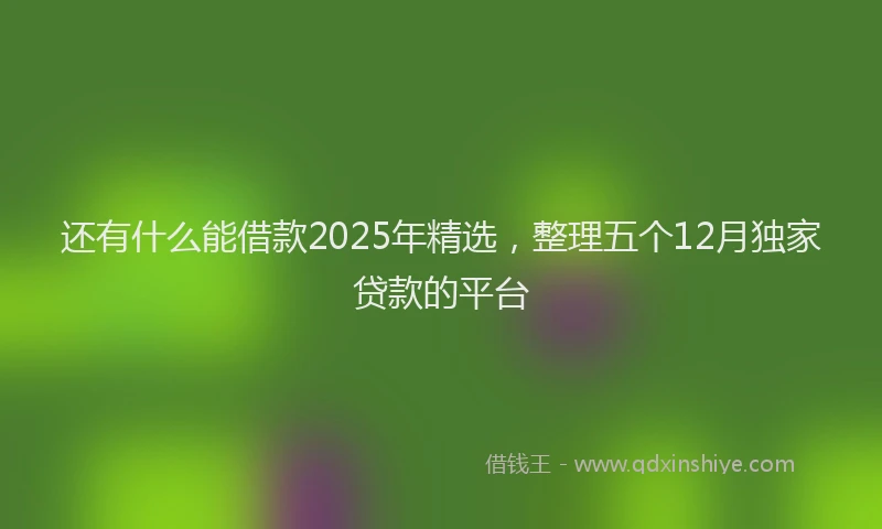 还有什么能借款2025年精选，整理五个12月独家贷款的平台
