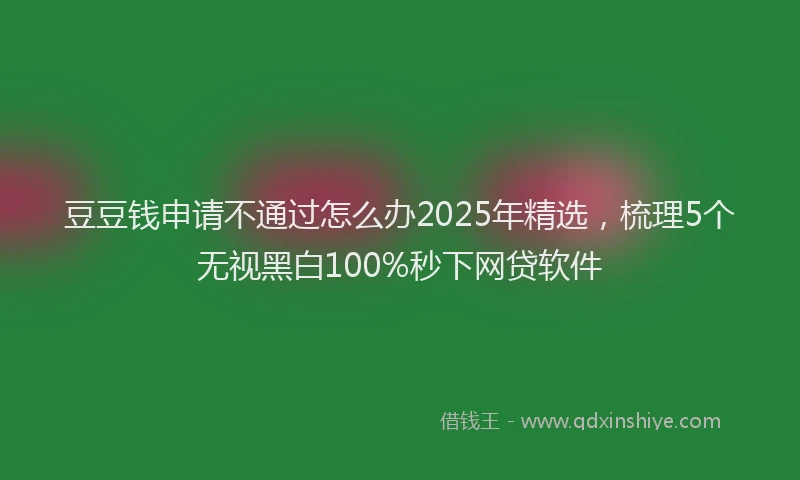 豆豆钱申请不通过怎么办2025年精选，梳理5个无视黑白100%秒下网贷软件