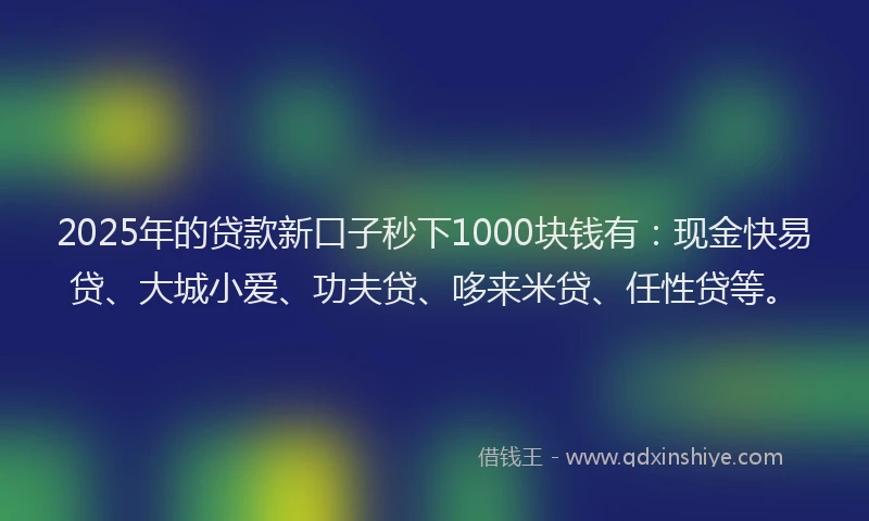 2025年的贷款新口子秒下1000块钱有：现金快易贷、大城小爱、功夫贷、哆来米贷、任性贷等。