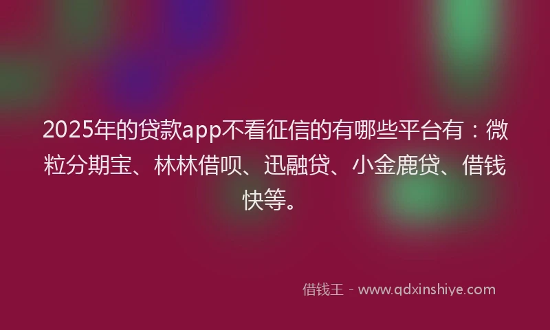 2025年的贷款app不看征信的有哪些平台有：微粒分期宝、林林借呗、迅融贷、小金鹿贷、借钱快等。