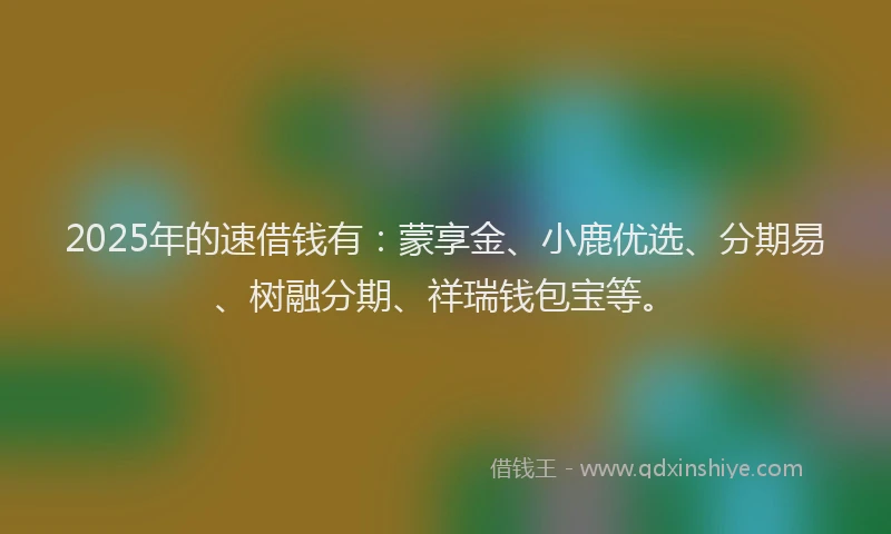 2025年的速借钱有：蒙享金、小鹿优选、分期易、树融分期、祥瑞钱包宝等。