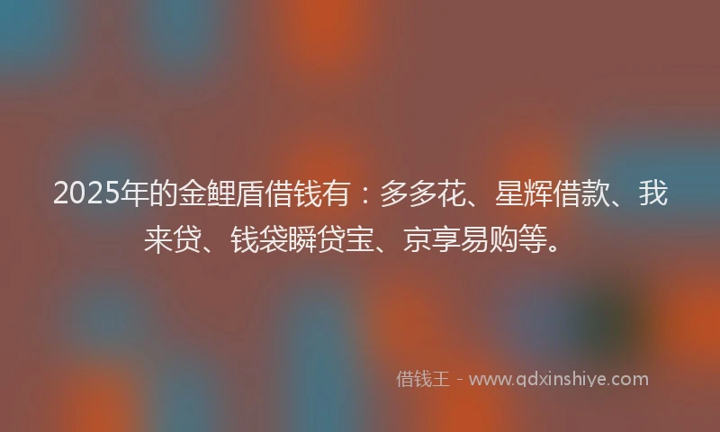 2025年的金鲤盾借钱有：多多花、星辉借款、我来贷、钱袋瞬贷宝、京享易购等。