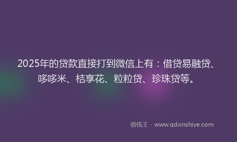 2025年的贷款直接打到微信上有：借贷易融贷、哆哆米、桔享花、粒粒贷、珍珠贷等。
