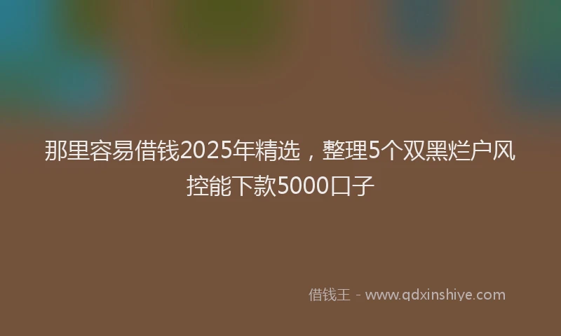 那里容易借钱2025年精选，整理5个双黑烂户风控能下款5000口子