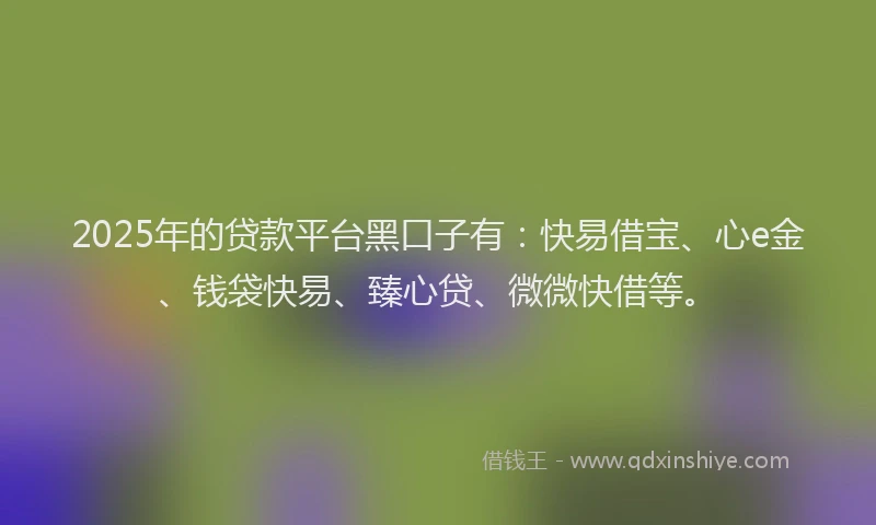 2025年的贷款平台黑口子有：快易借宝、心e金、钱袋快易、臻心贷、微微快借等。