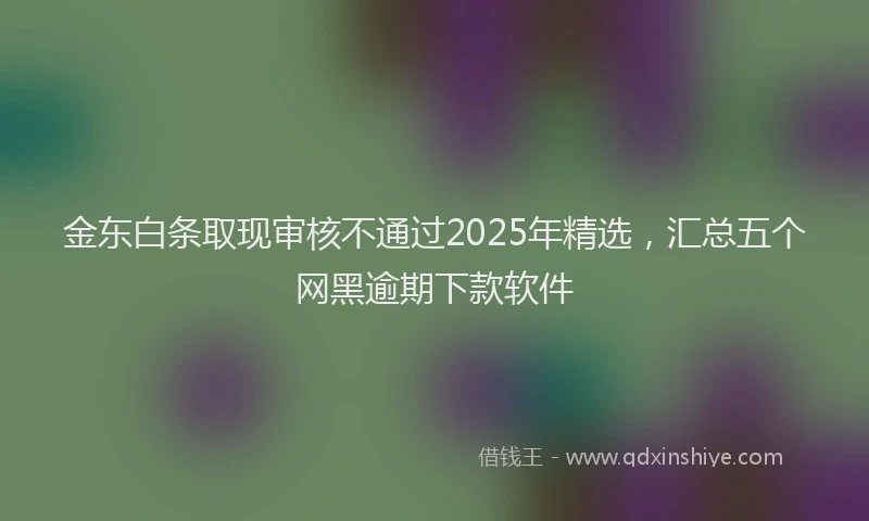 金东白条取现审核不通过2025年精选，汇总五个网黑逾期下款软件