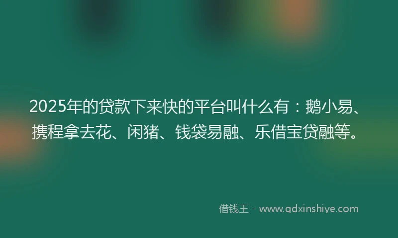 2025年的贷款下来快的平台叫什么有：鹅小易、携程拿去花、闲猪、钱袋易融、乐借宝贷融等。