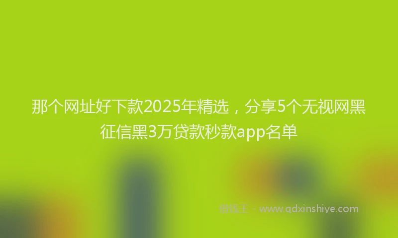 那个网址好下款2025年精选，分享5个无视网黑征信黑3万贷款秒款app名单