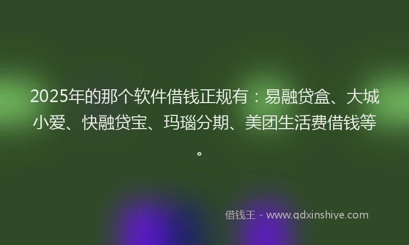 2025年的那个软件借钱正规有：易融贷盒、大城小爱、快融贷宝、玛瑙分期、美团生活费借钱等。