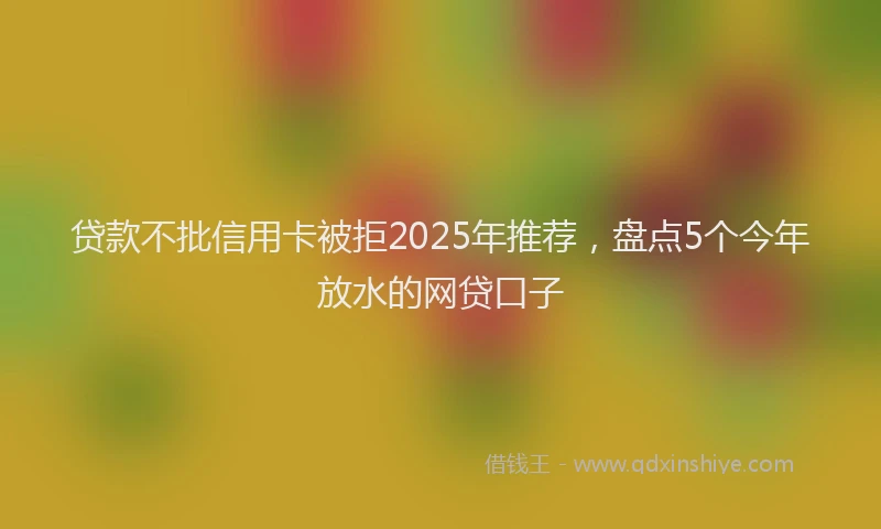 贷款不批信用卡被拒2025年推荐，盘点5个今年放水的网贷口子